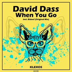 David Dass - Bidoof (Original Mix)