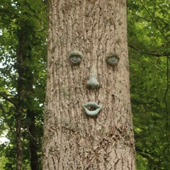 pareidolia