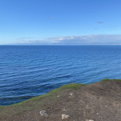 Harsh Feelings feat. Bankrollboy