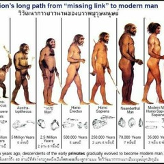 evolution drops.mp3