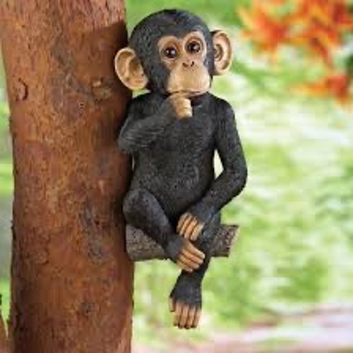 01 Monkey Yard Sess 12th TSP22