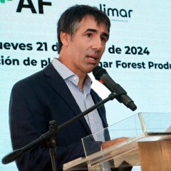 Francisco Bonino - Forestación