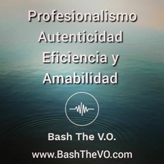 Bash The VO - Spanish Corporate Explainer Alltel 401k Plan