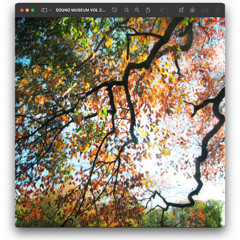 SOUND MUSEUM VOL 2 (THE LONG WAY)