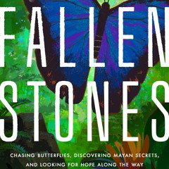 Download Book The Fallen Stones: Chasing Blue Butterflies, Mayan Secrets, and Happily Ever After in