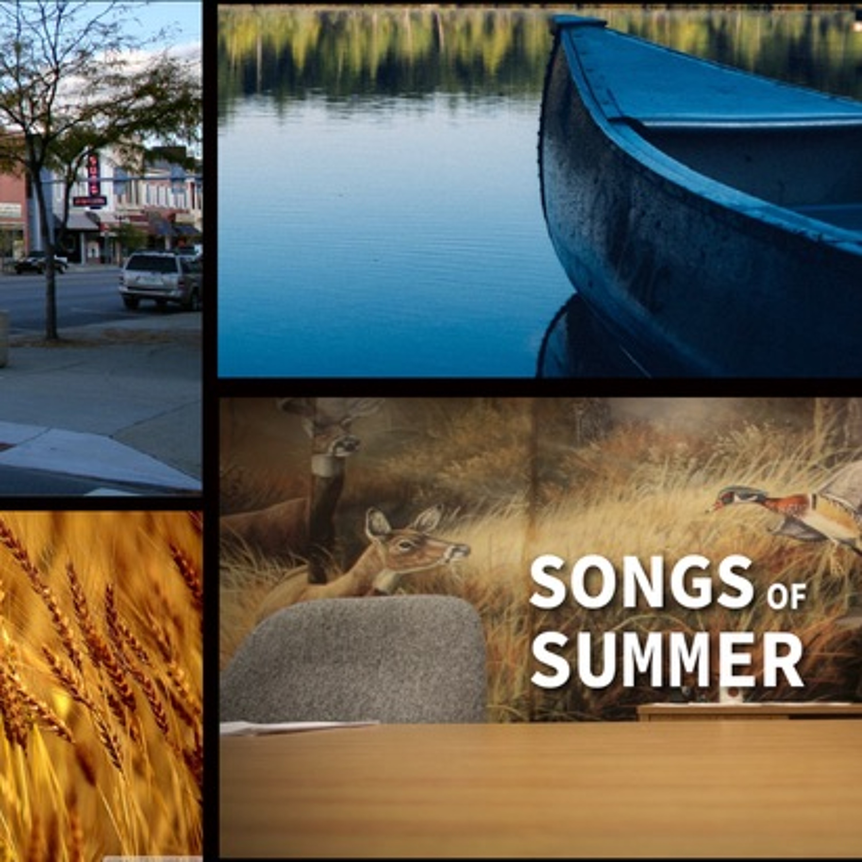 Songs Of Summer - Psalm 8 - Blair - 5.24.20 episode artwork