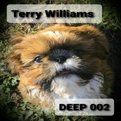 DEEP 002 (promo) - Terry Williams - Original mix