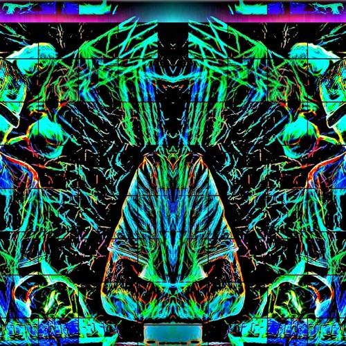 The Creative Process