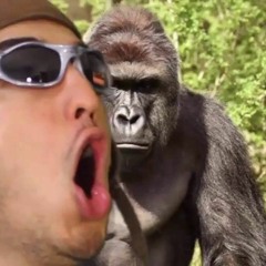 Tribute to Harambe - Filthy Frank