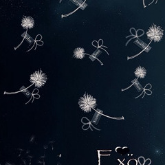 What I Want For Christmas - EXO (엑소) [HAN_ROM_ENG COLOR CODED LYRICS] (128 kbps)