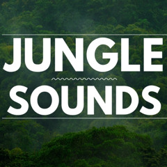 The latino Jungle