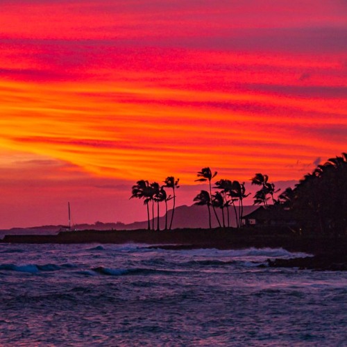 Spicy Sunset House Vibes