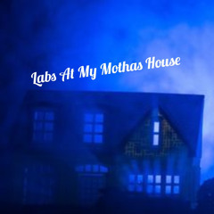 ShySoSmoove~ Labs at my motha house (@skiiiwrld anthem)