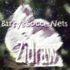 Barry's Soccer Nets