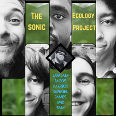 THE SONIC ECOLOGY PROJECT PODCAST
