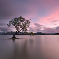 Mượn Rượu Tỏ Tình - TwoBinz, Kim Dung