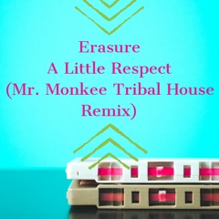 Erasure - A Little Respect (Mr. Monkee Tribal House Remix)