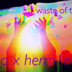 waste of time // jaa x herm1no