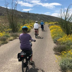 Review Special Price Saguaro National Park East E-Bike Tour