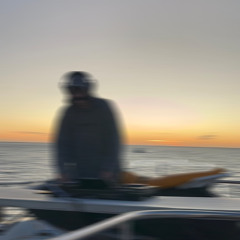 Bailalo rocky x Shake body