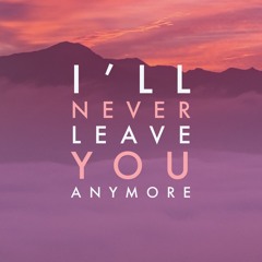 I'll Never Leave You Anymore (cover)