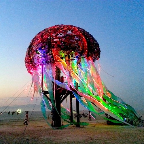 Dance of the Desert Jellyfish