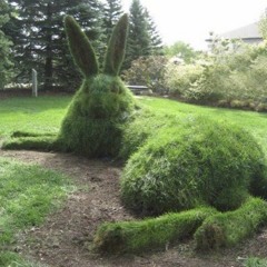 one͜͡ day be͜͡fore the͜͡ rainy se͜͡ason