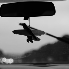 follow me (2birds1crow flip)