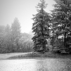 Jake's Will - Rainy Days (prod. Baitz)