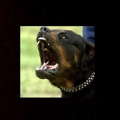 [FREE] Zillakami x Scarlxrd type beat - Wardog
