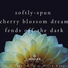 Spinning [naviarhaiku435 - softly-spun]