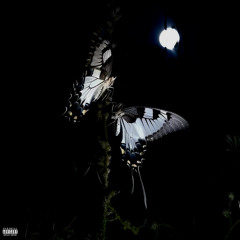 so alive (xiller)
