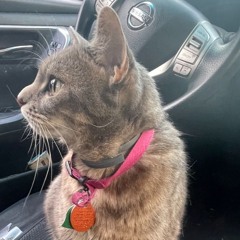 Highclass🤵🍷 @wu9s