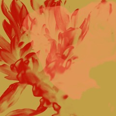 Amaya (Cortese's Midnight Crisis Mix)- Radio Edit