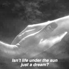 I Want To See Myself In The Sun