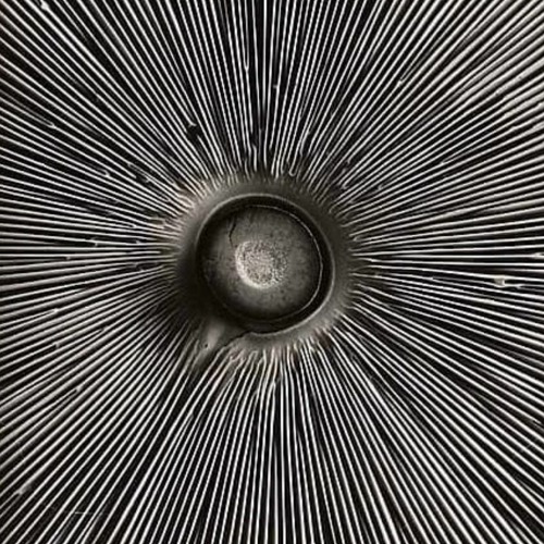 Precise blowing