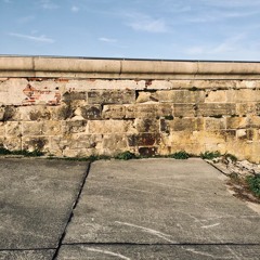 To Build A Wall (Will Varley)