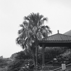 som 02.27.24 | VISLA FM