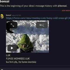 Funee Monkee gif.hex