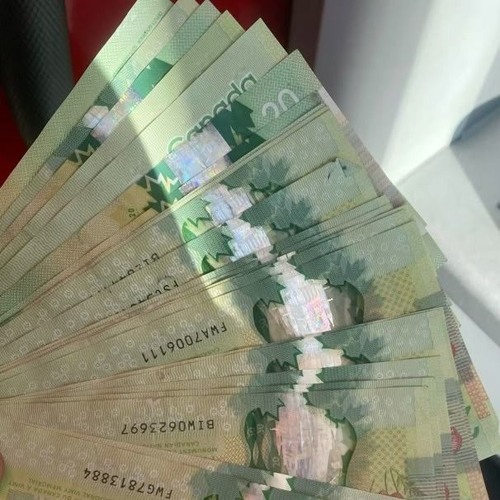 NO GUTZ {TRVSH} {RVPID}