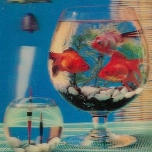 려진 - Fishbowl(cover)
