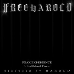 Evil Life [prod. HAROLD]