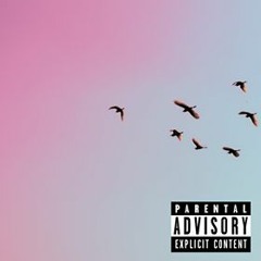 Chill With Birds By Duey Young