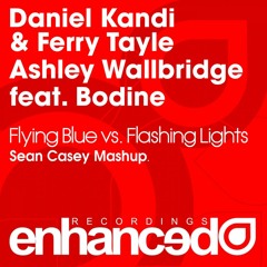 Daniel Kandi & Ferry Tayle & Ashley Wallbridge - Flying Blue vs. Flashing Lights (Sean Casey Mashup)