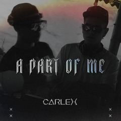 A PART OF ME | CARLEX