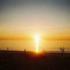 Sunlight