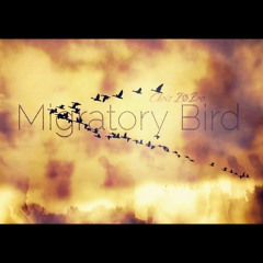 Migratory Bird  (Τhe hope)
