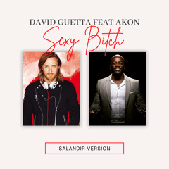 David Guetta Feat Akon - Sexy Bitch (SAlANDIR VERSION)