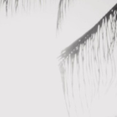 TFL ANNIV SAVEDHISTORY SET (061921)