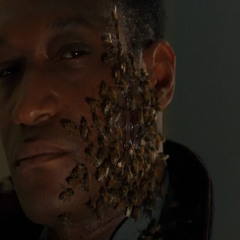 Crossfire - Candyman 25'